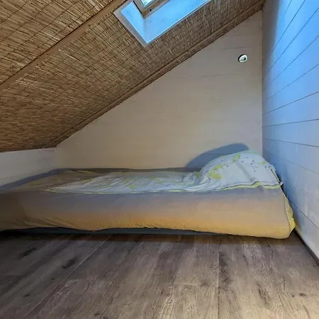 Cabane